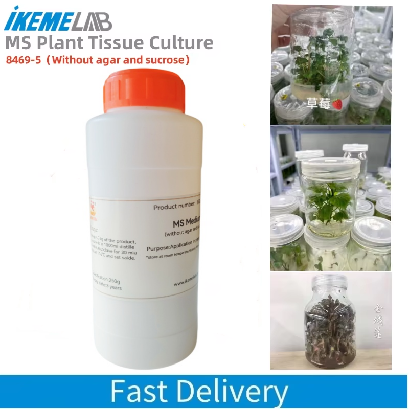 Agar Tissue Culture - Keme Lab MS 250g, Medium tanpa
