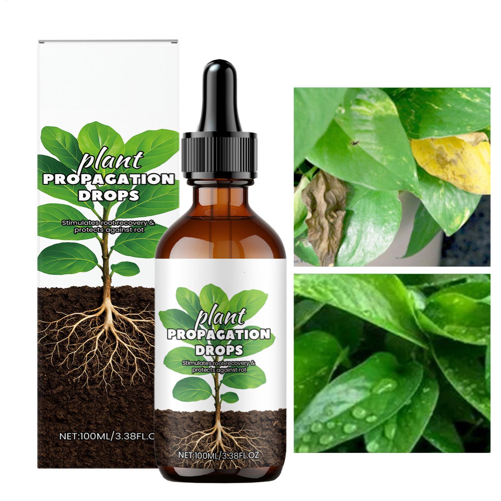 Root Stimulator Liquid - Penguat Akar 100ml Tetes Stimulator Akar