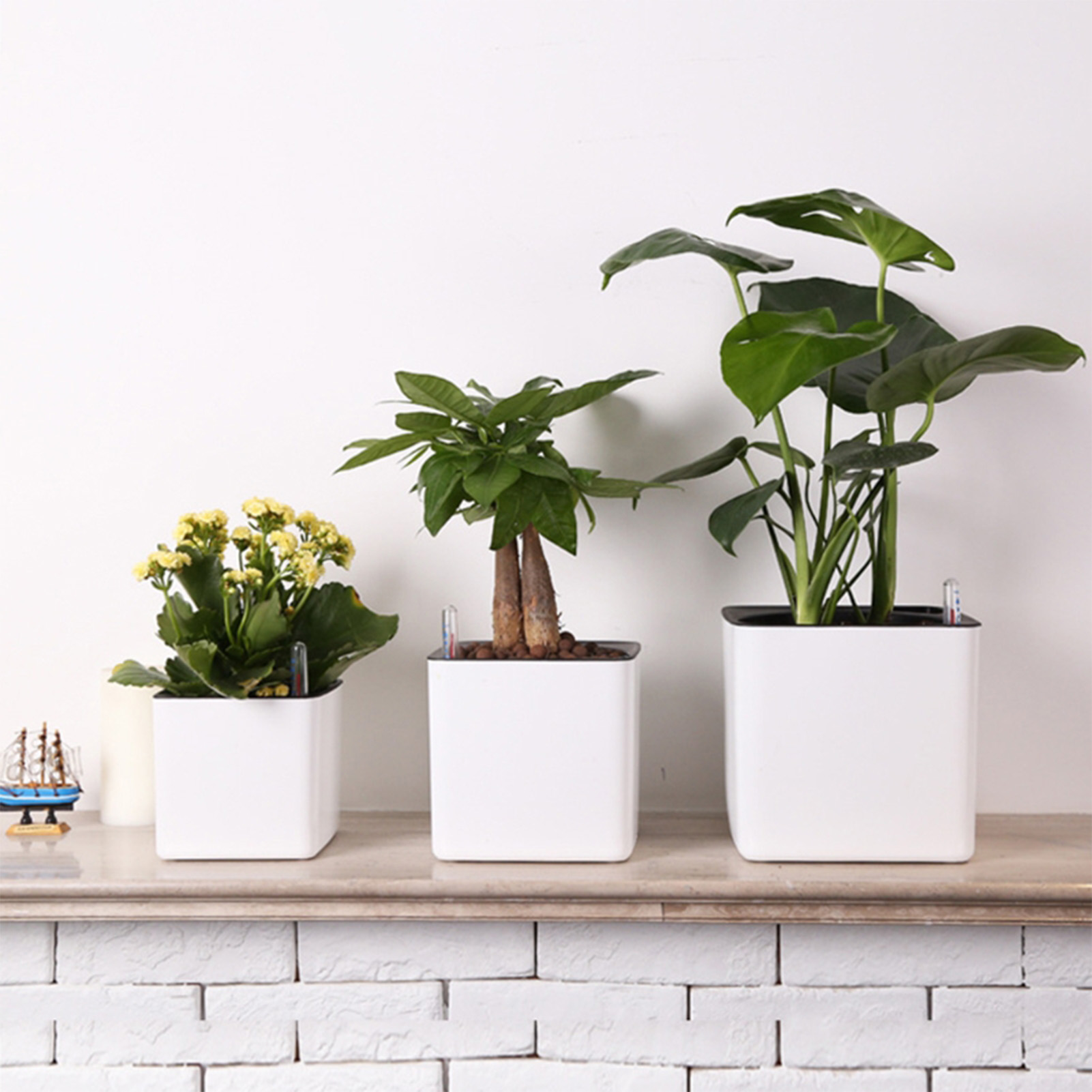 Self Watering Insert - Pot Bunga Malas 3 Ukuran Tanaman