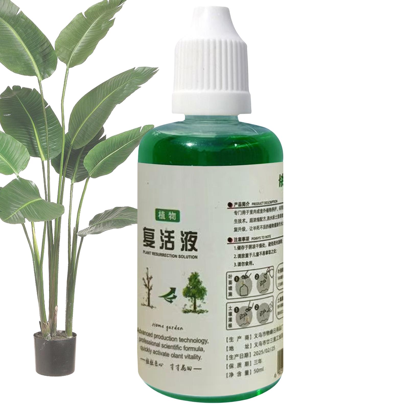 Root Stimulator Liquid - Penguat Akar Tanaman Cairan Pemulih Tanaman