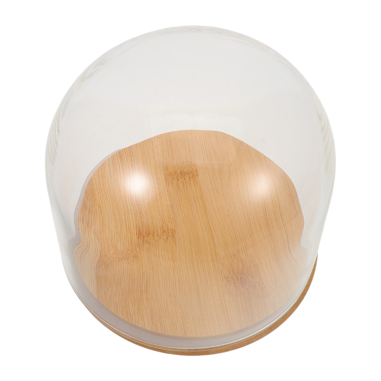 Plastic Dome Clear - Kubah Kaca Transparan dengan Alas Bambu