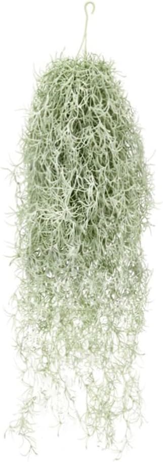 Sphagnum Moss Dry - Tanaman Udara Tillandsia Berkelompok Buatan 31