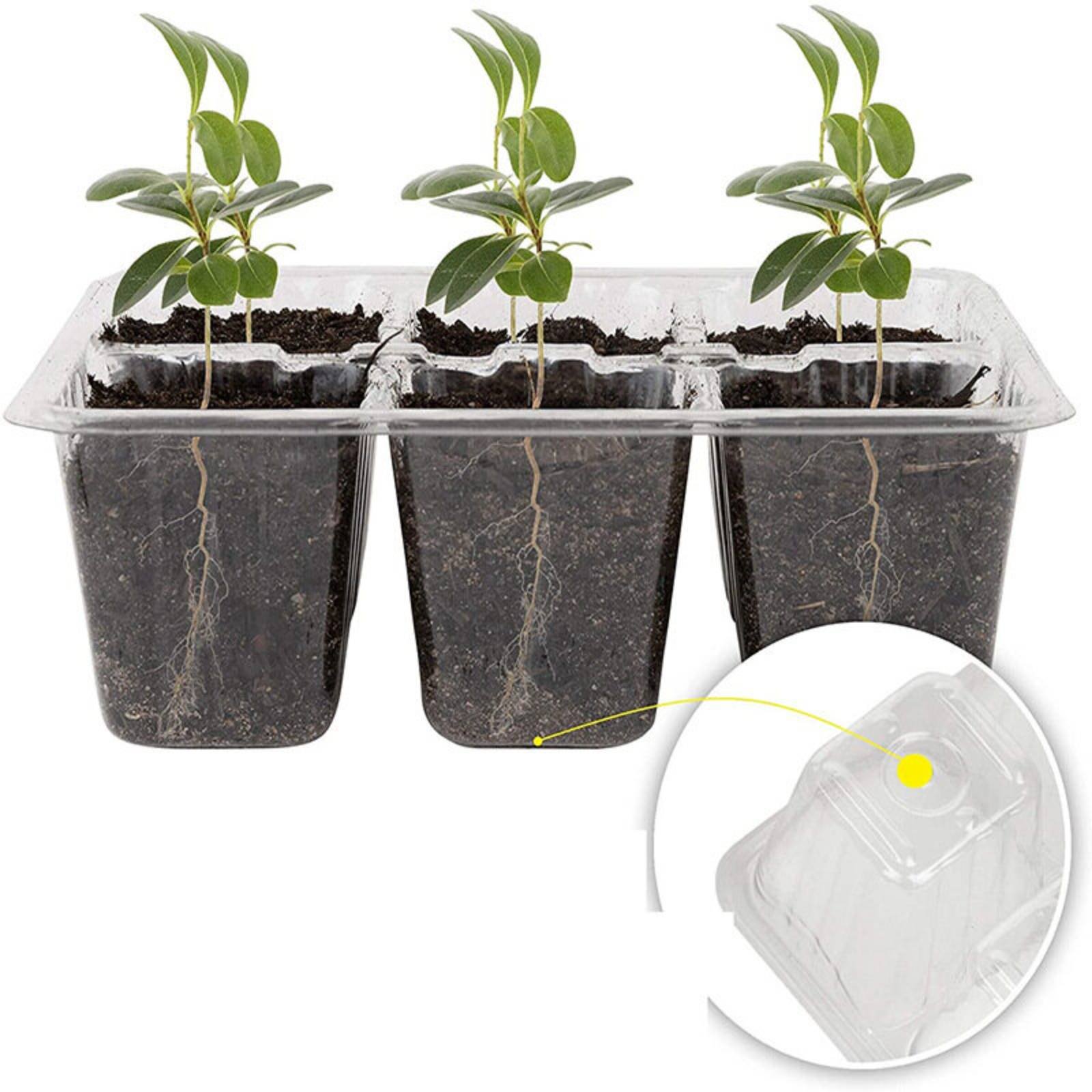 Humidity Dome Kit - Baki Perkecambahan 12 Kompartemen dengan Tutup