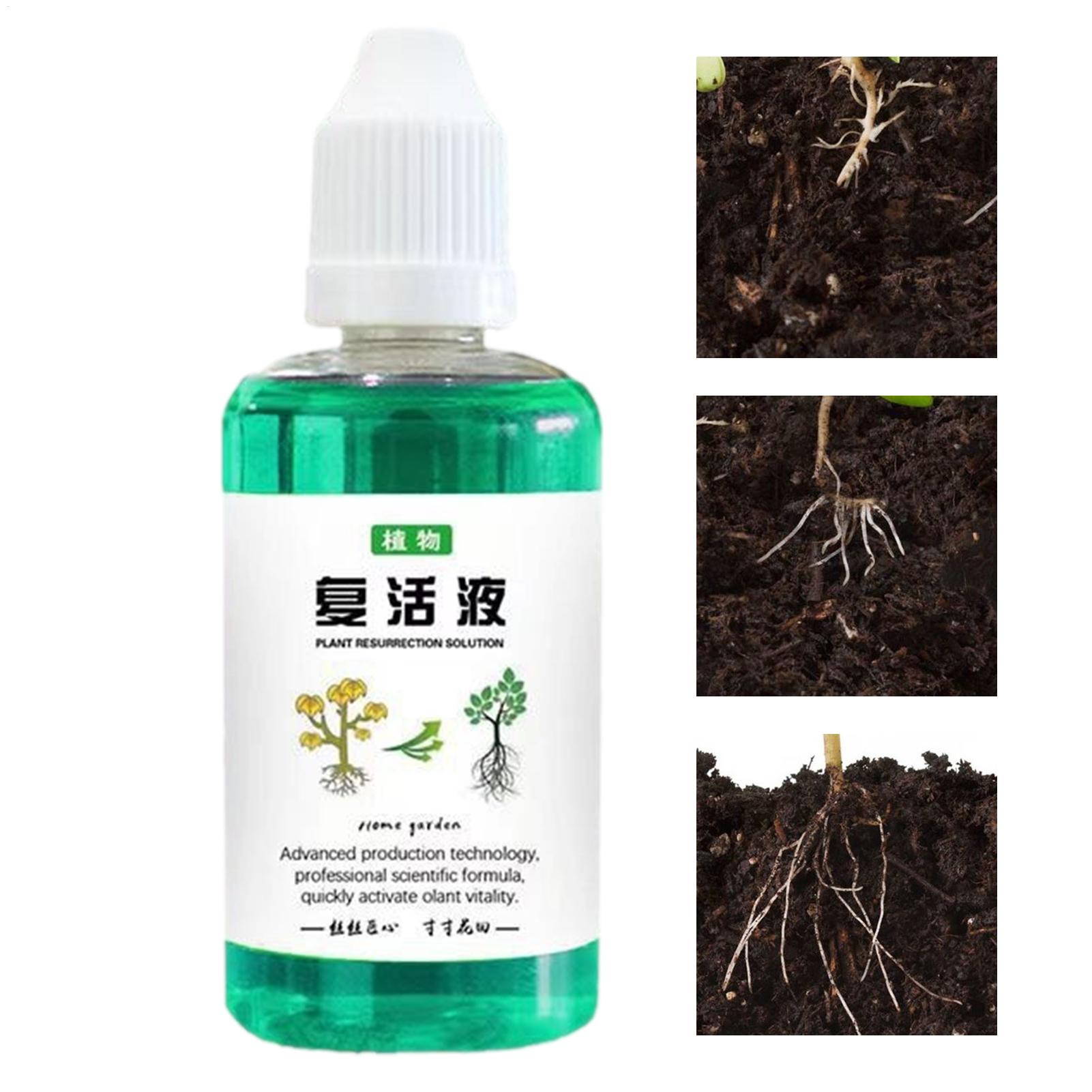 Root Stimulator Liquid - Stimulator Akar untuk Tanaman 50ml Peningkat