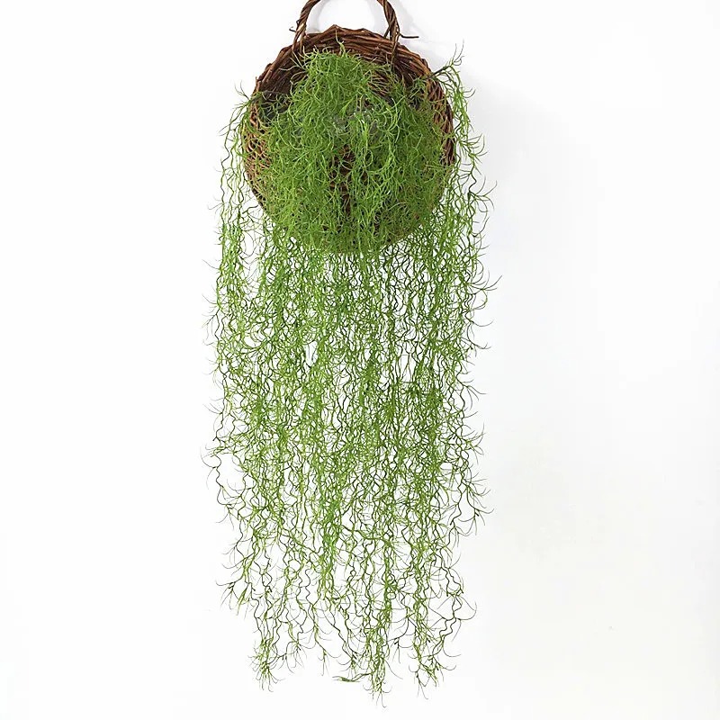 Sphagnum Moss Dry - 1/3/5pcs Tanaman Rumput Hijau Air, Tanaman