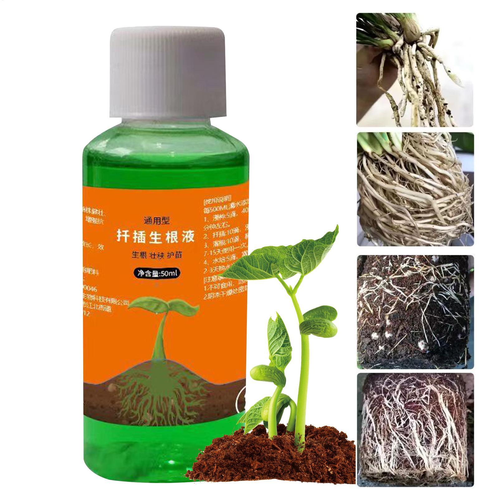 Root Stimulator Liquid - Stimulator Akar Efisiensi Tinggi untuk Pemangkasan