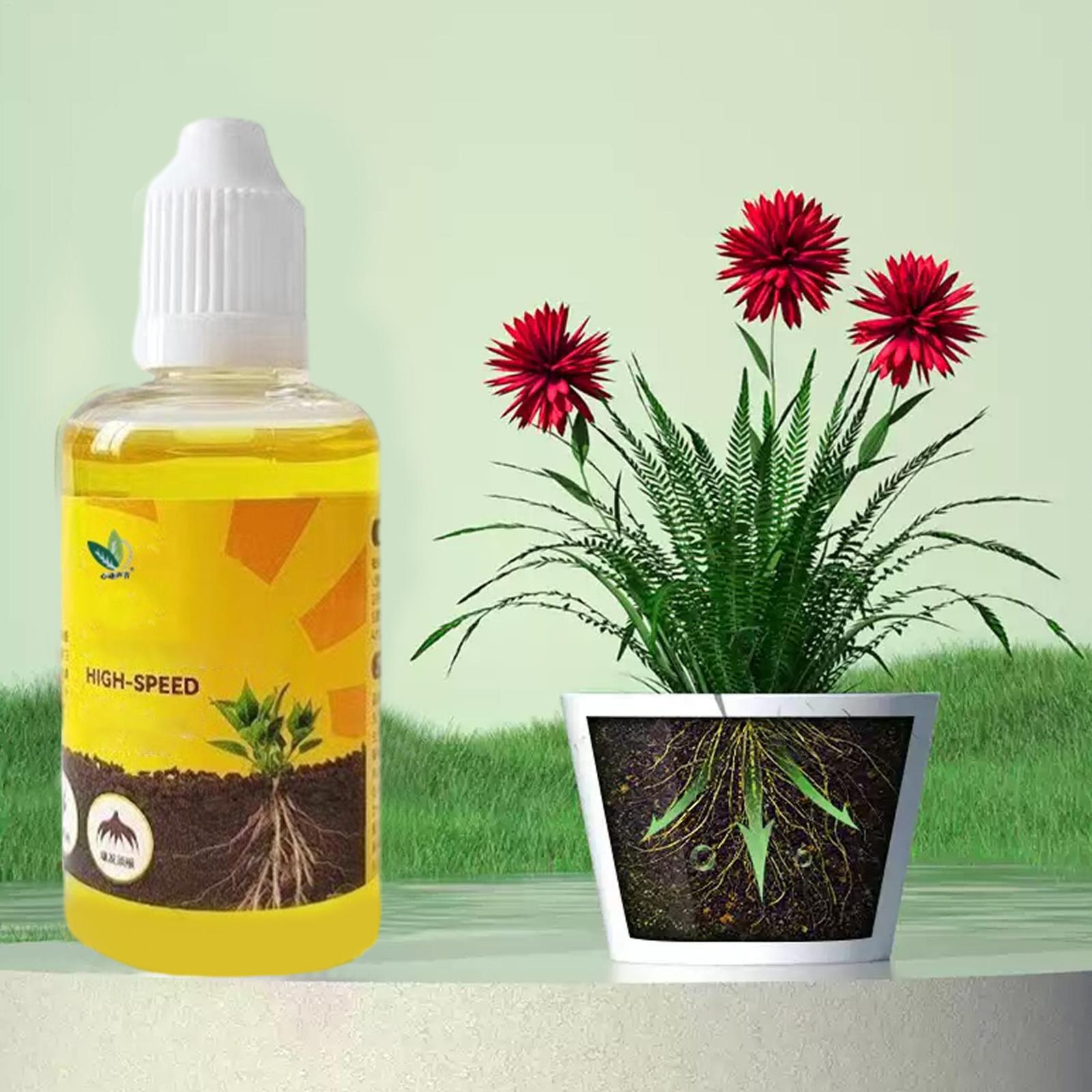 Root Stimulator Liquid - Solusi Perakaran Cepat Tanaman 50ml Formula
