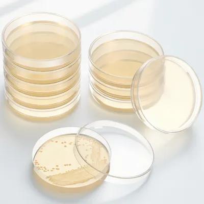 Agar Tissue Culture - 20 Buah Cawan Petri Agar Nutrisi