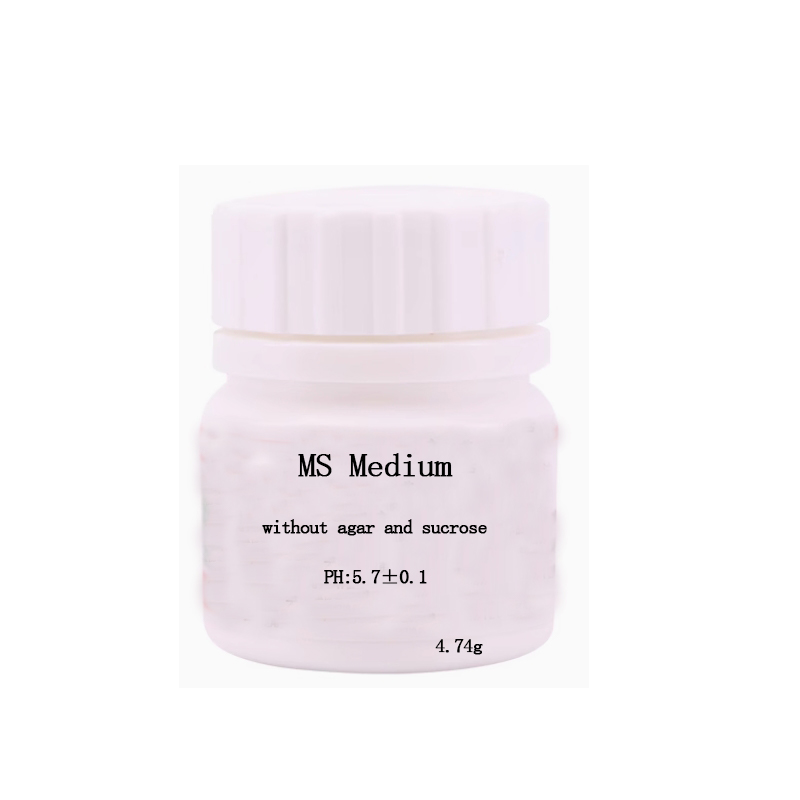 MS Medium Tanpa Agar Atau Sukr - Agar Tissue Culture ulasan dan harga