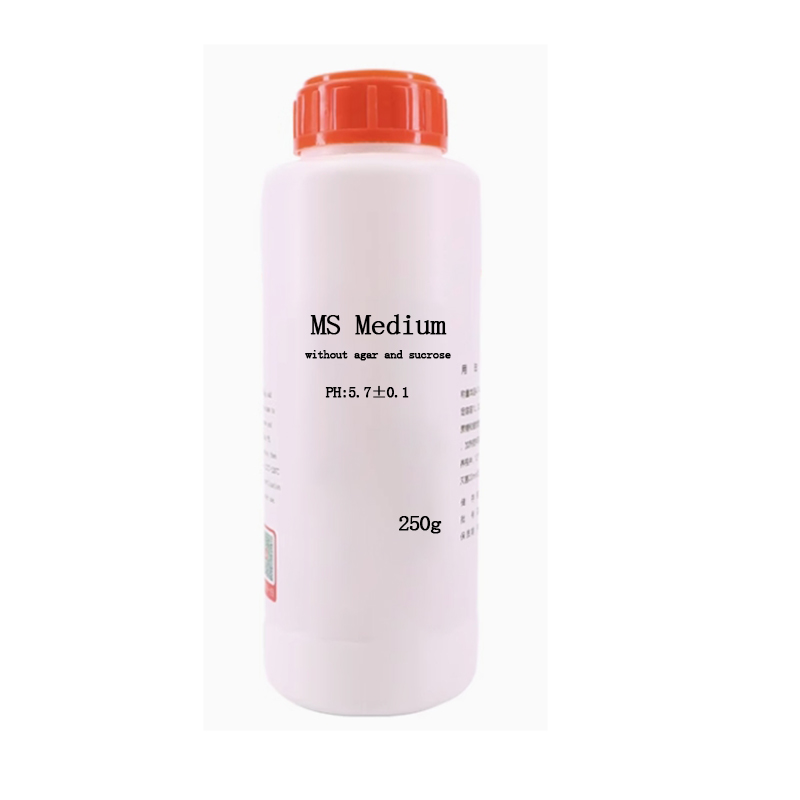 MS Medium Tanpa Agar Atau Sukr - Agar Tissue Culture ulasan dan harga