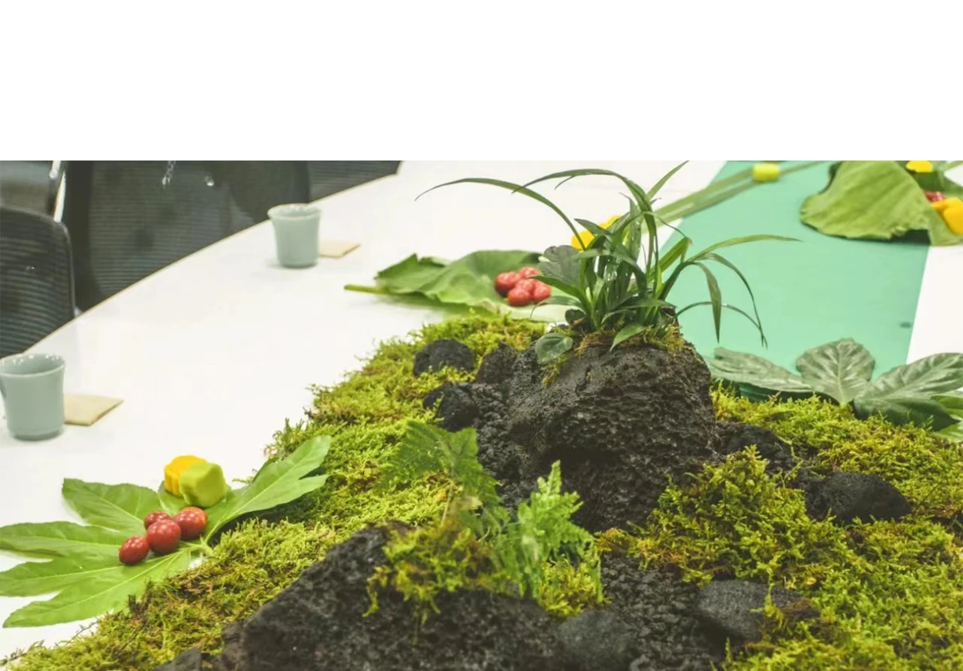Lumut Palsu Lumut Buatan untuk - Sphagnum Moss Dry ulasan dan harga