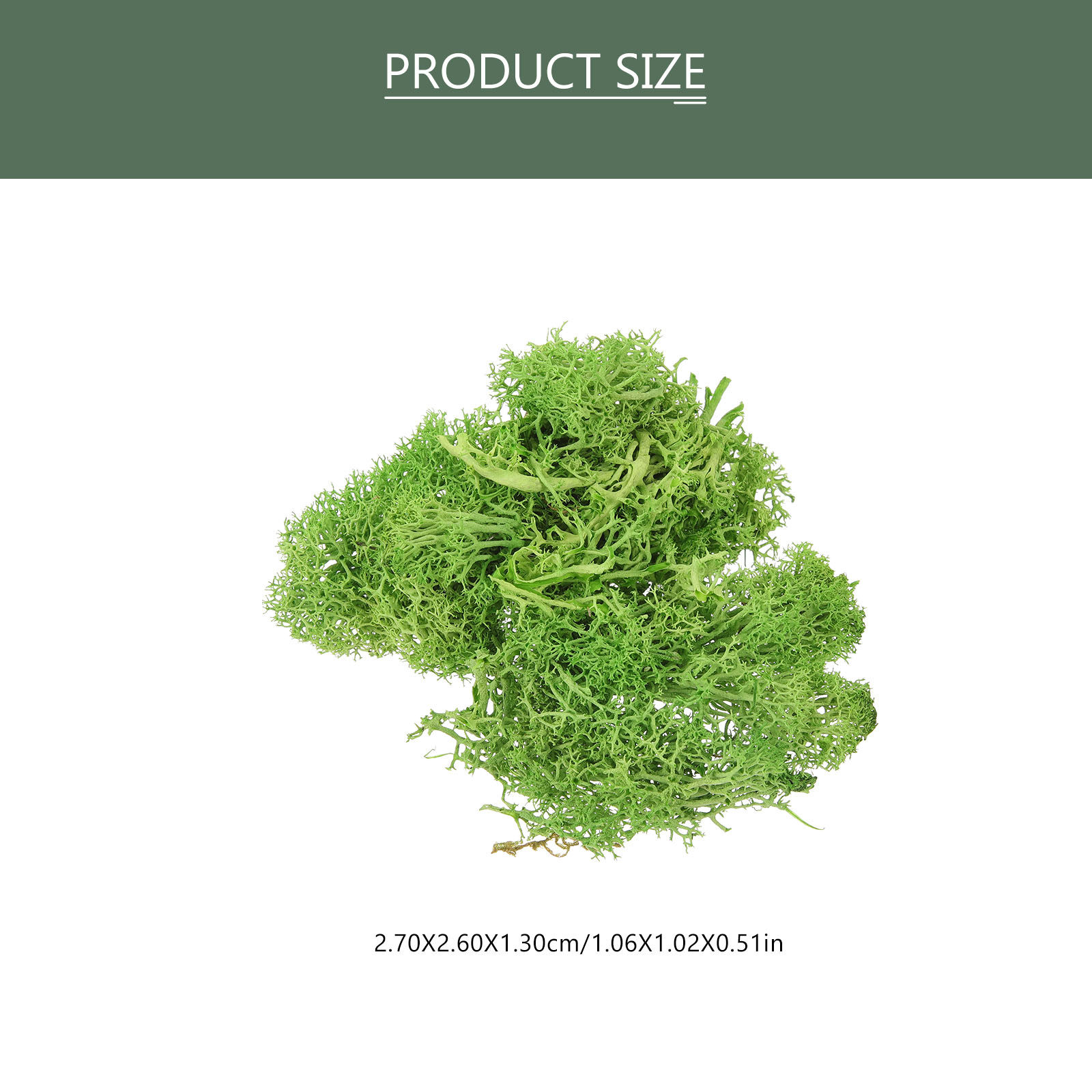 Lumut Sphagnum Coklat Palsu un - Sphagnum Moss Dry ulasan dan harga