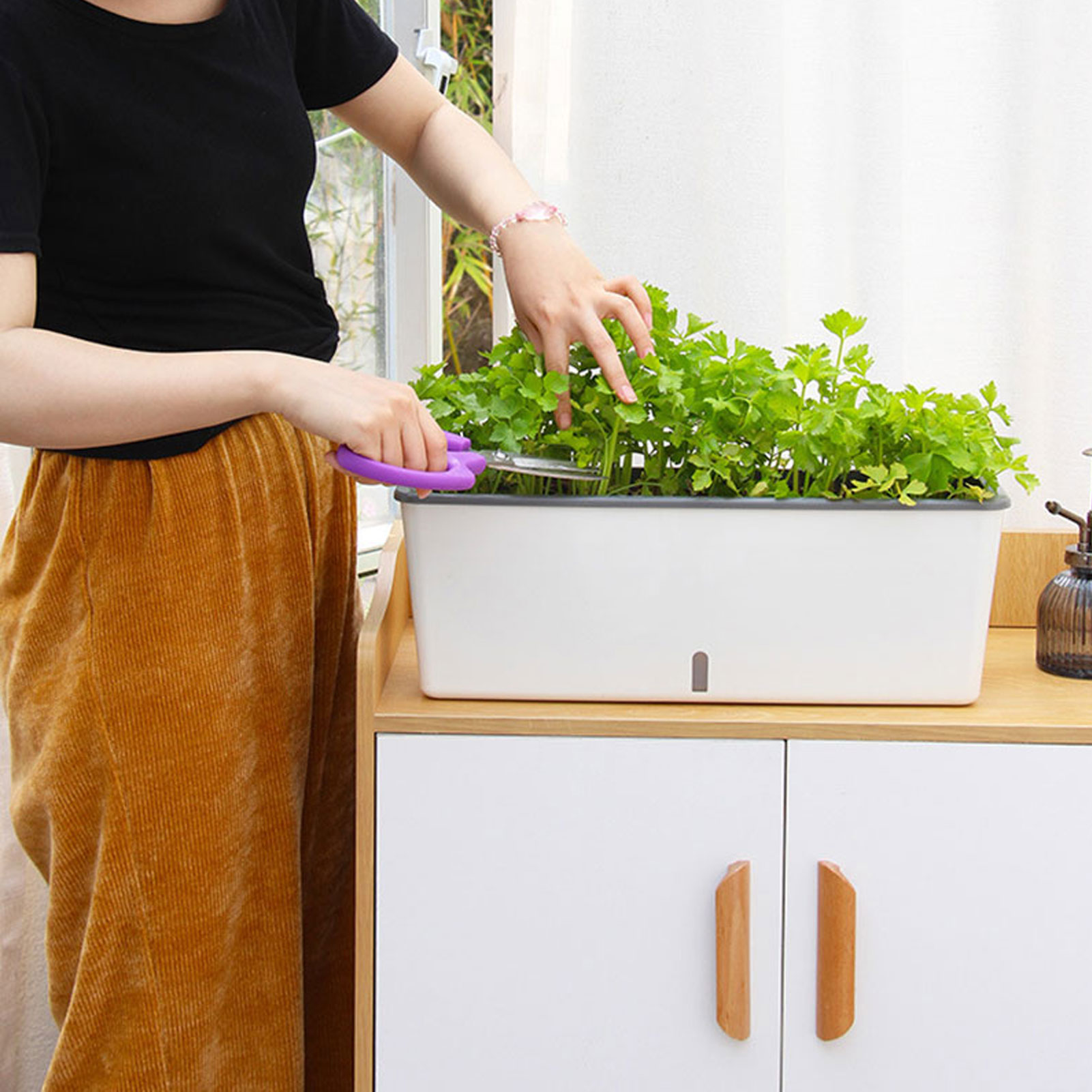 Pot tanaman menyiram sendiri,  - Self Watering Insert ulasan dan harga