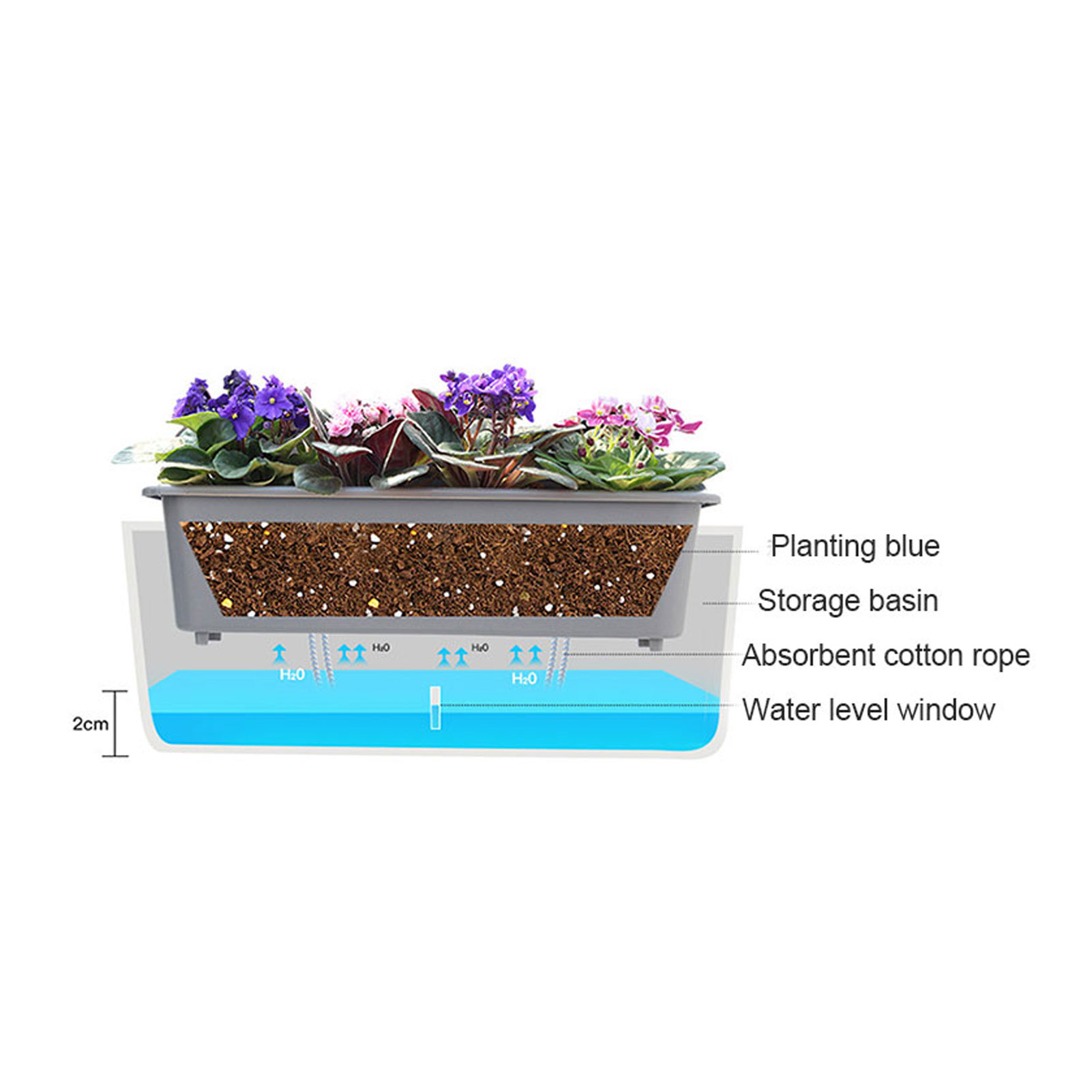 Pot tanaman menyiram sendiri,  - Self Watering Insert ulasan dan harga