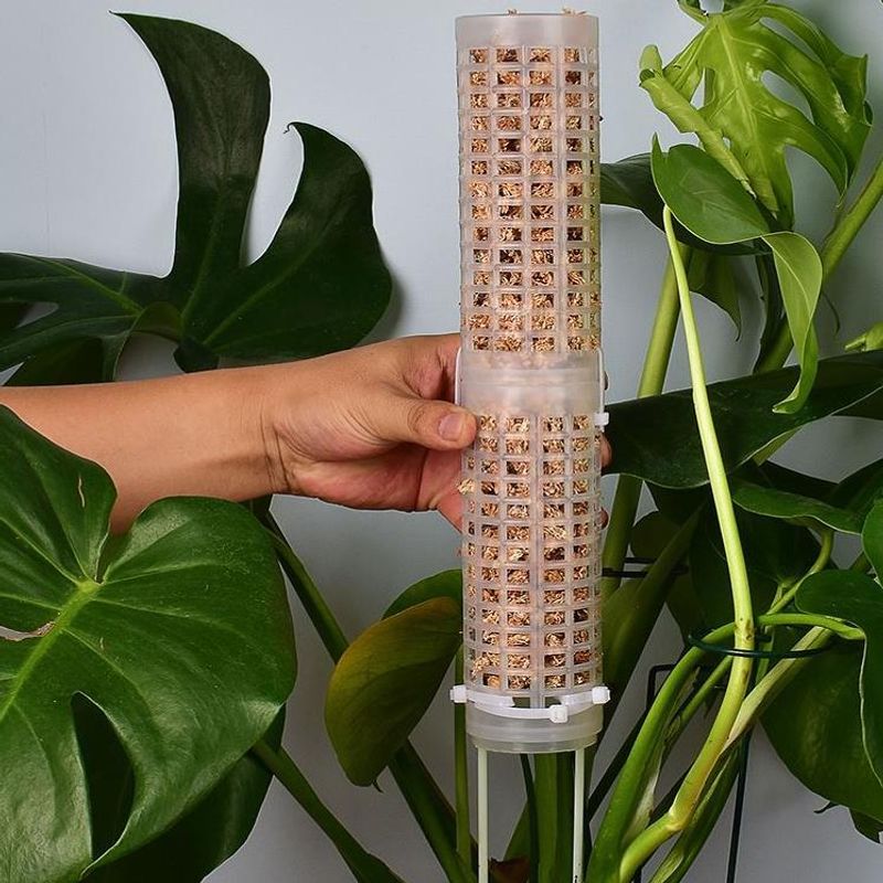 Aksesori Plastik Tiang Lumut T - Sphagnum Moss Dry ulasan dan harga