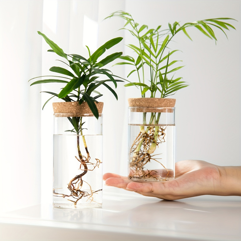 1 buah, tanaman hidroponik Des - Propagation Station Vase ulasan dan harga
