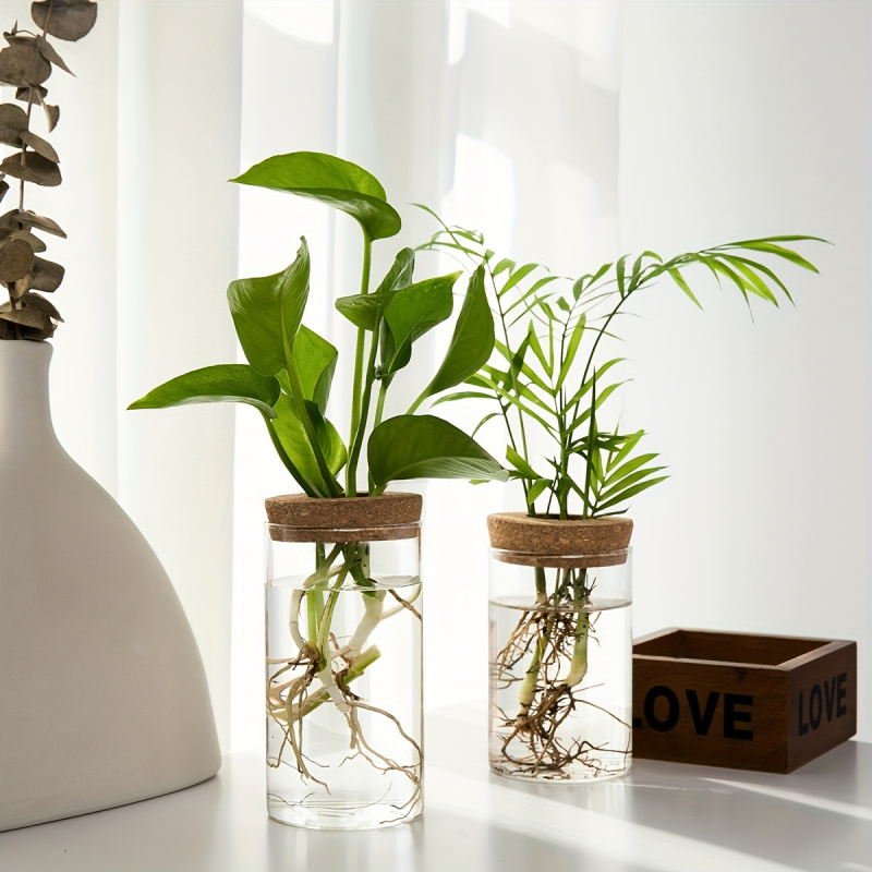 1 buah, tanaman hidroponik Des - Propagation Station Vase ulasan dan harga
