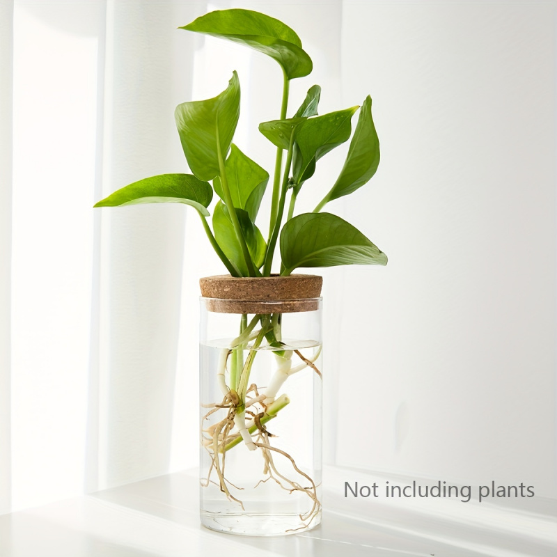 1 buah, tanaman hidroponik Des - Propagation Station Vase ulasan dan harga