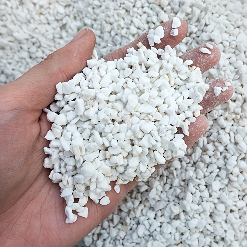 1 Kantong Perlite Berkebun 3-6 - Sphagnum Moss Dry ulasan dan harga