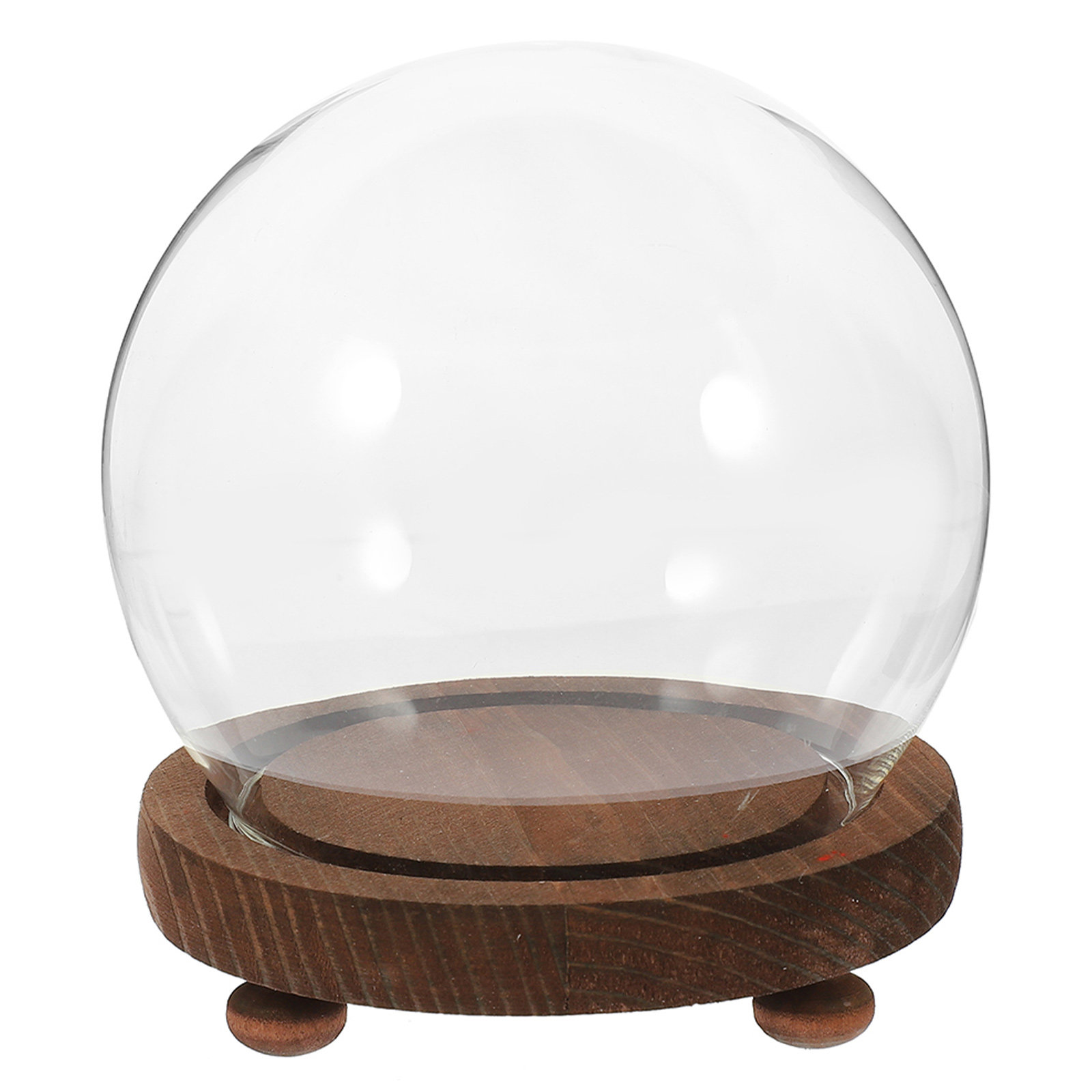 Penutup Kaca Bulat Kubah Ornam - Plastic Dome Clear ulasan dan harga