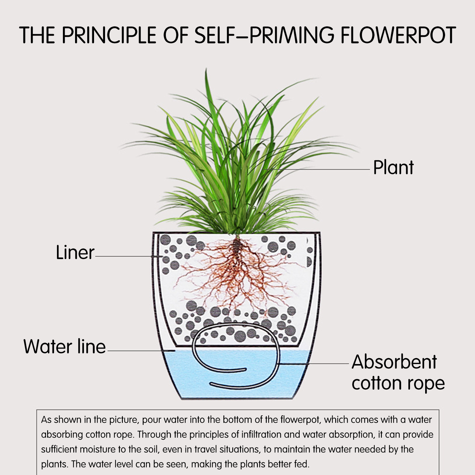 Pot Tanaman Bunga Penyiraman M - Self Watering Insert ulasan dan harga