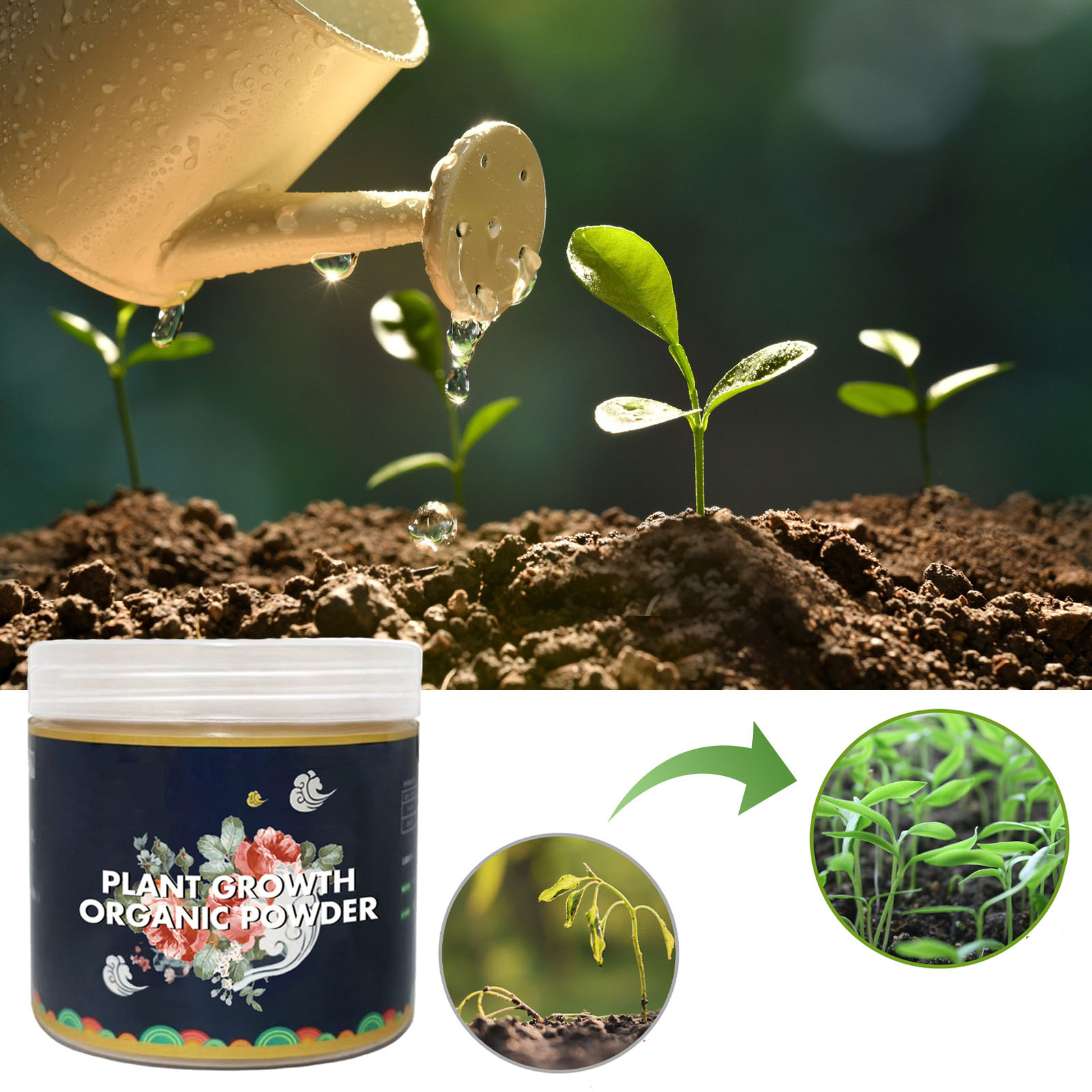 Cepat akar bubuk tanaman perba - Rooting Hormone Powder ulasan dan harga