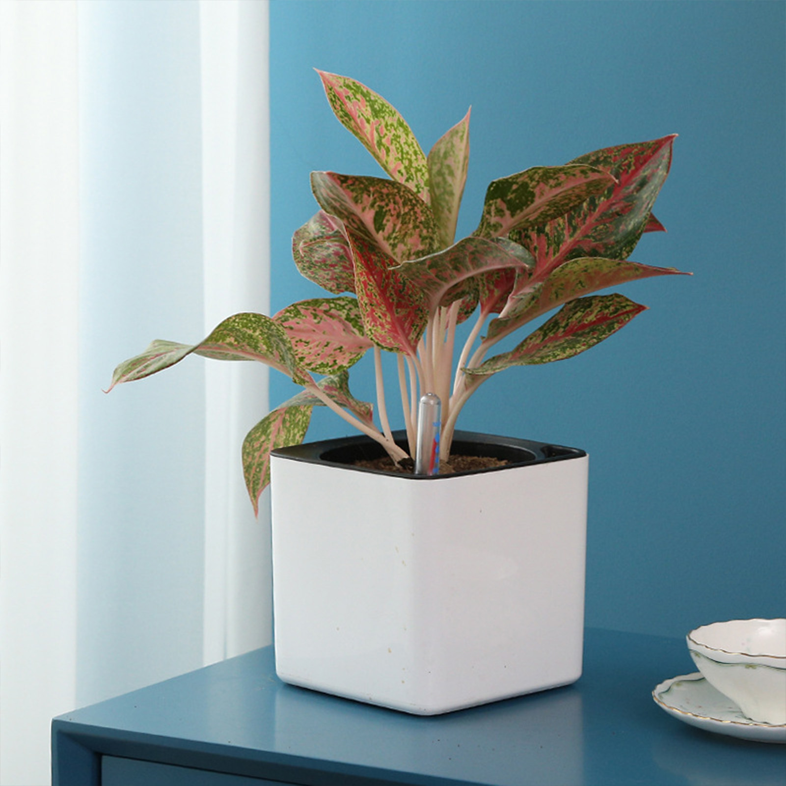 Pot Bunga Malas 3 Ukuran Tanam - Self Watering Insert ulasan dan harga