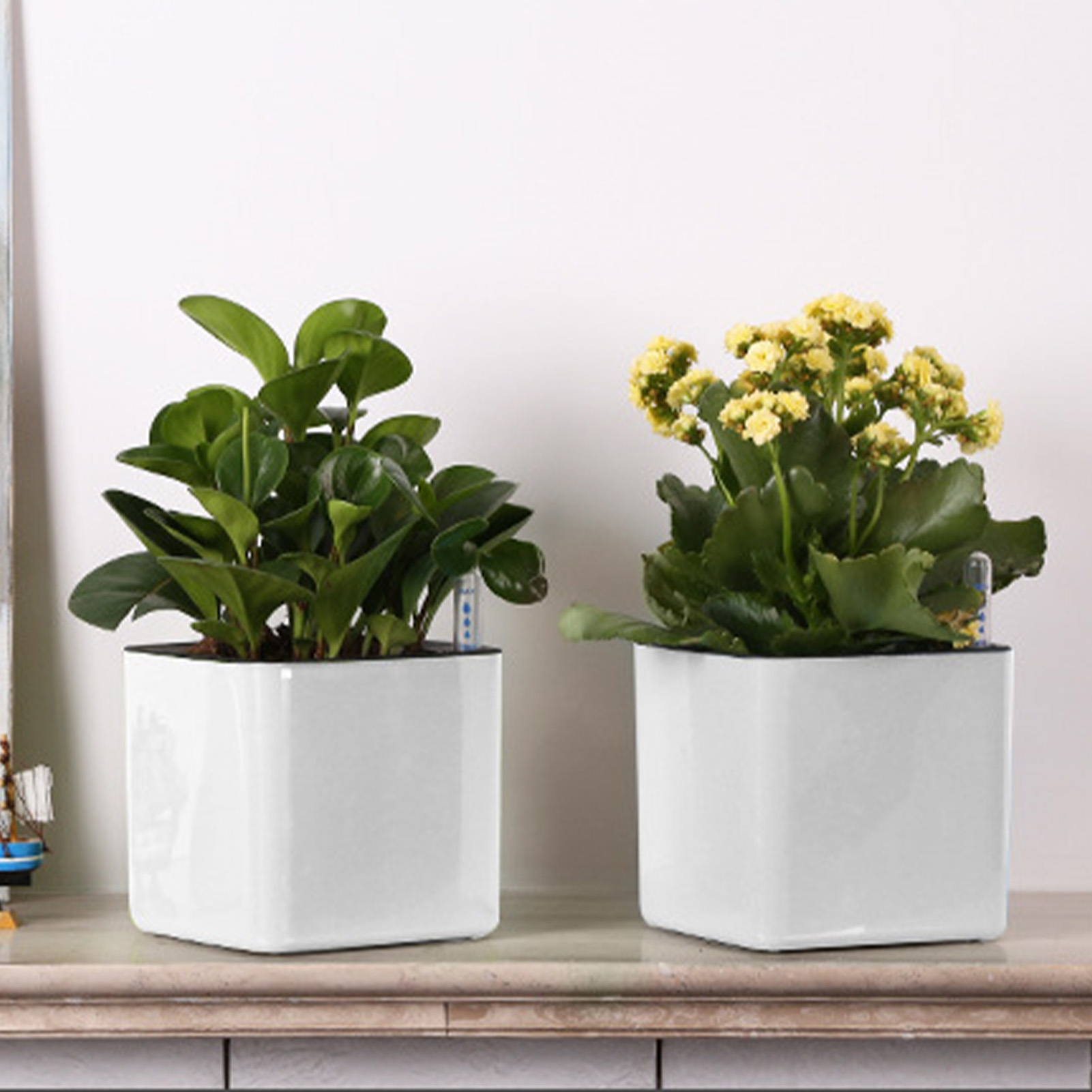 Pot Bunga Malas 3 Ukuran Tanam - Self Watering Insert ulasan dan harga