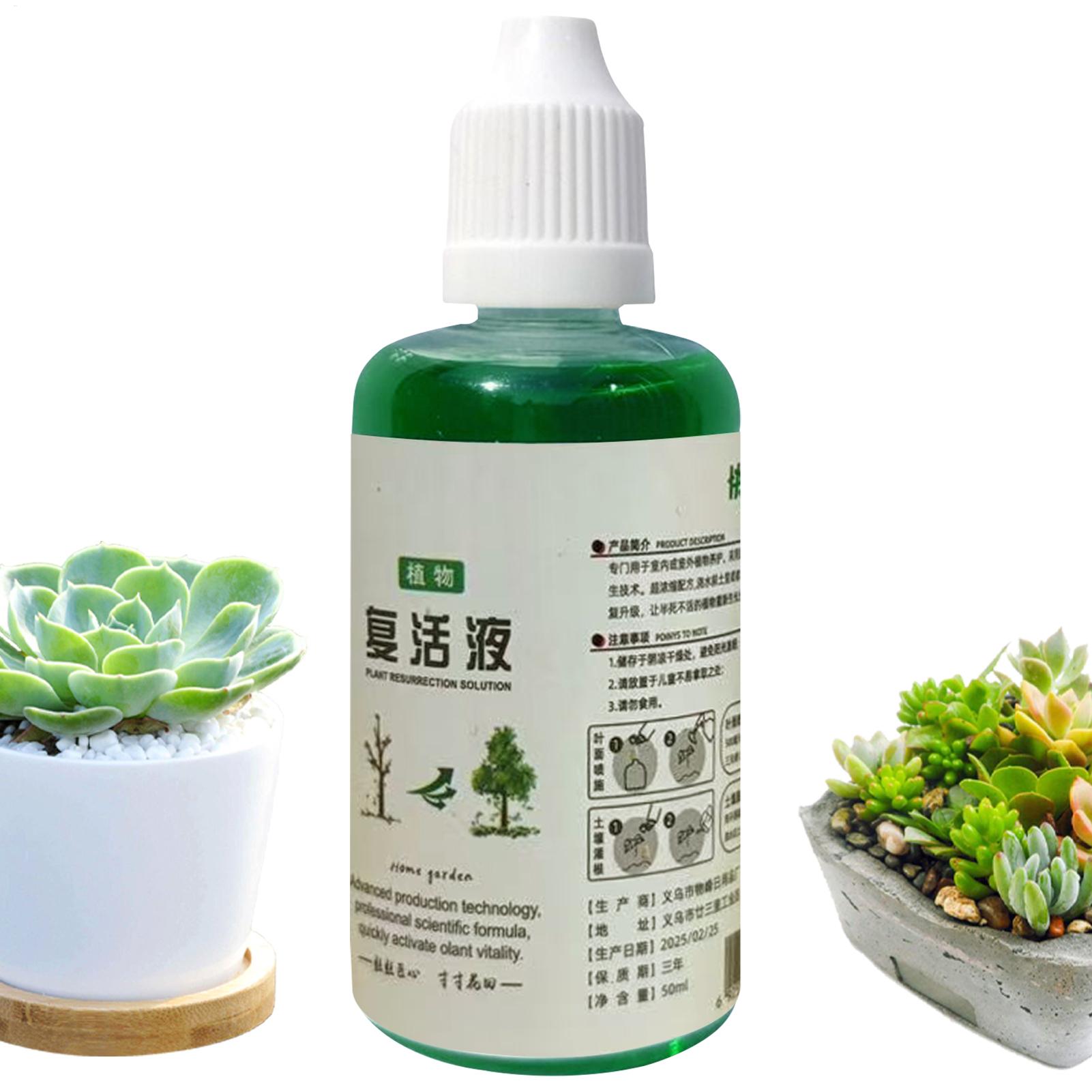 Penguat Akar Tanaman Cairan Pe - Root Stimulator Liquid ulasan dan harga