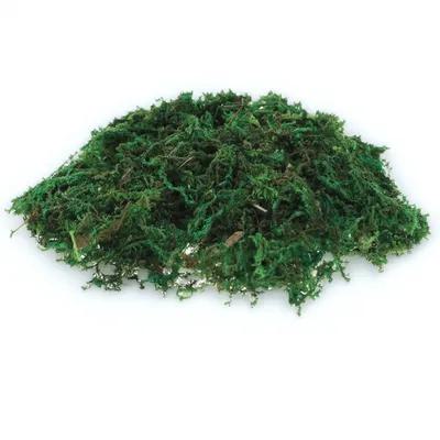 1 Pak Dekorasi Lumut Palsu Tam - Sphagnum Moss Dry ulasan dan harga