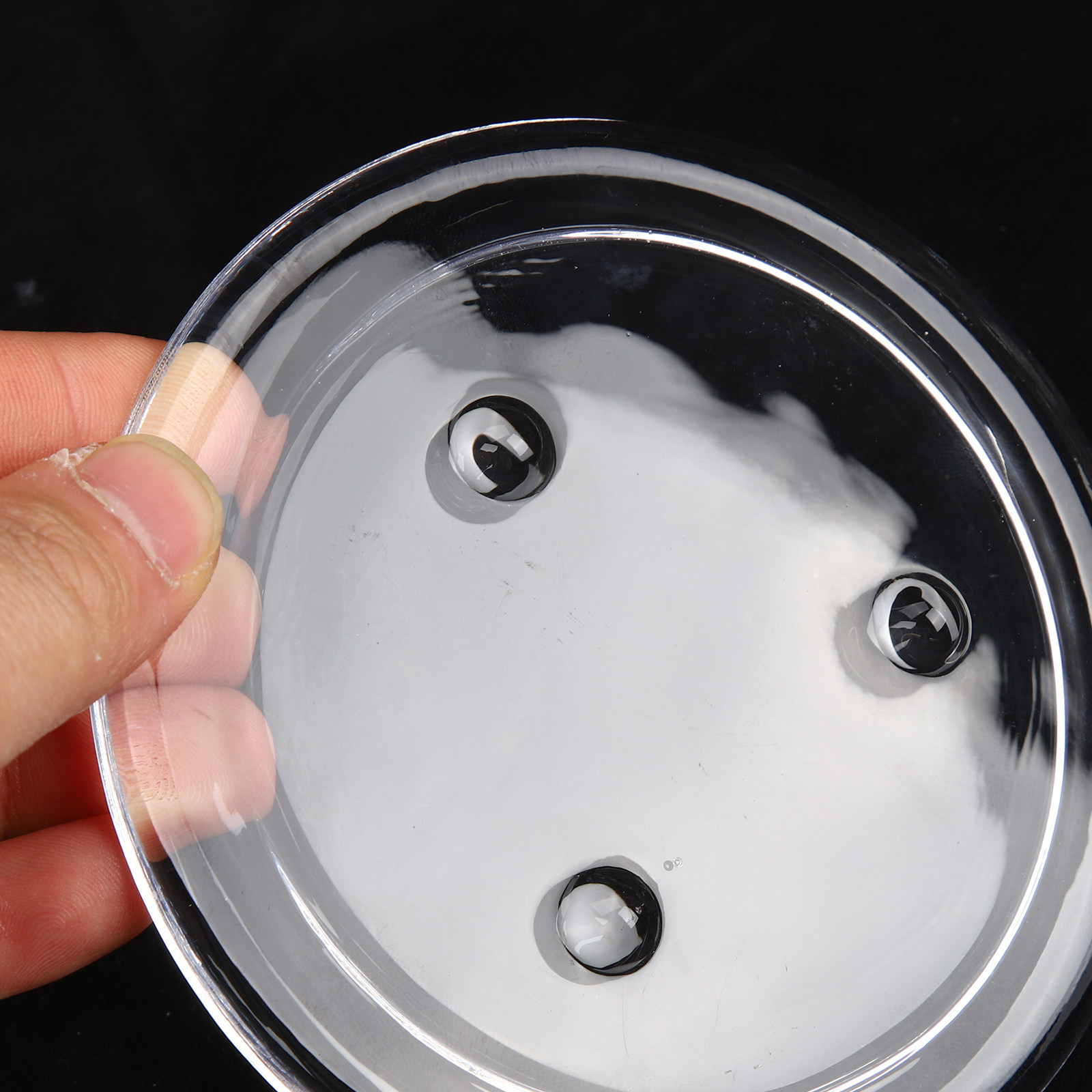 Kubah Kaca Penampil Bunga Awet - Plastic Dome Clear ulasan dan harga