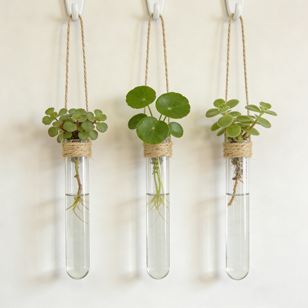 Vas Bunga Hidroponik Vas Tabun - Propagation Station Vase ulasan dan harga