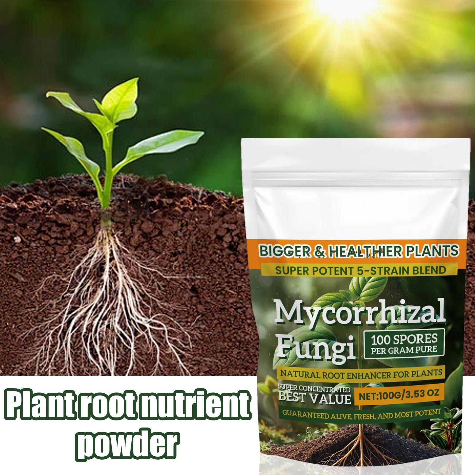 Bubuk Nutrisi Tanaman Baru 100 - Rooting Hormone Powder ulasan dan harga