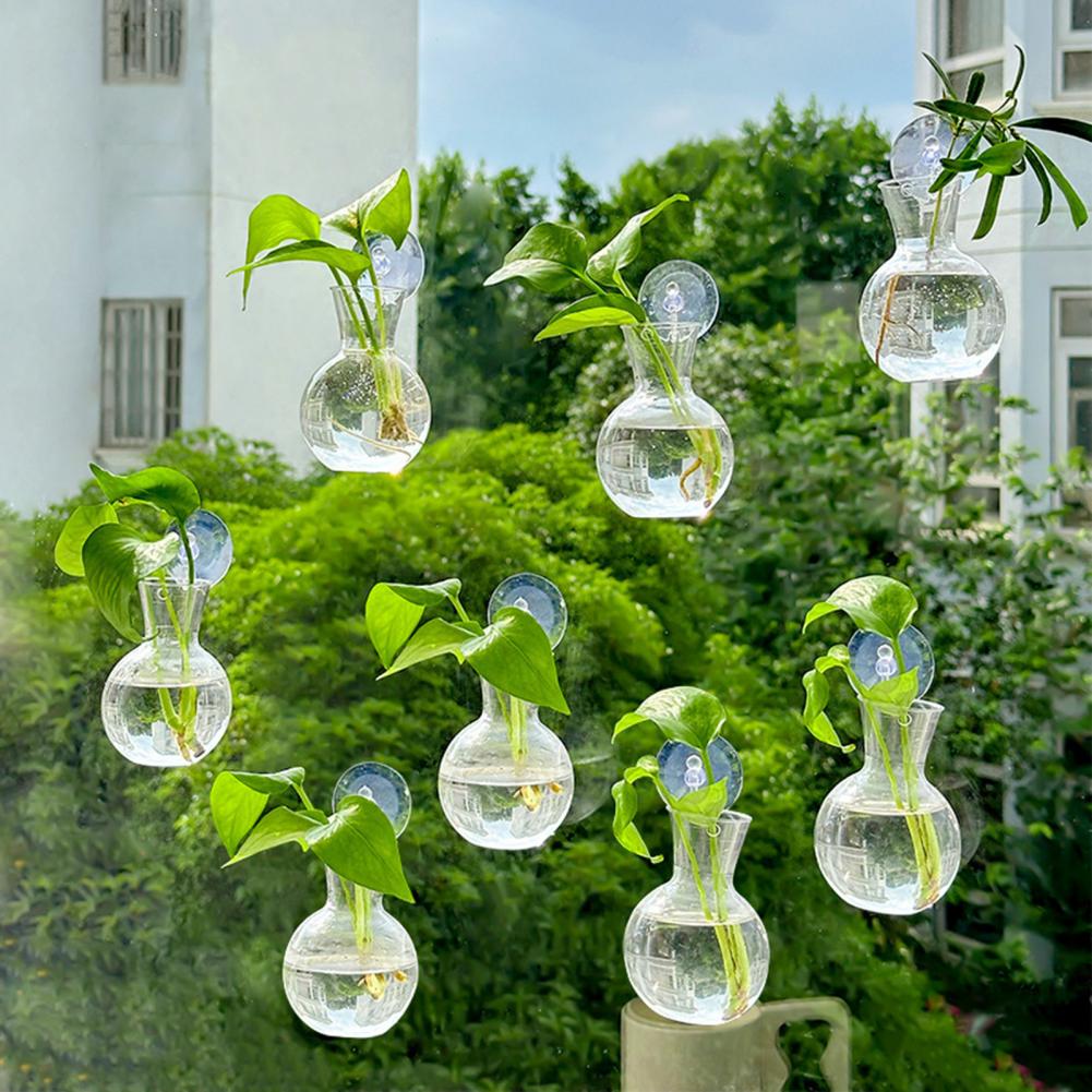 Vas Tanaman Jendela, Penyangga - Propagation Station Vase ulasan dan harga