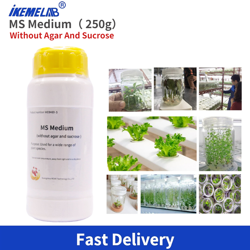 Keme Lab MS Medium 250g, media - Agar Tissue Culture ulasan dan harga