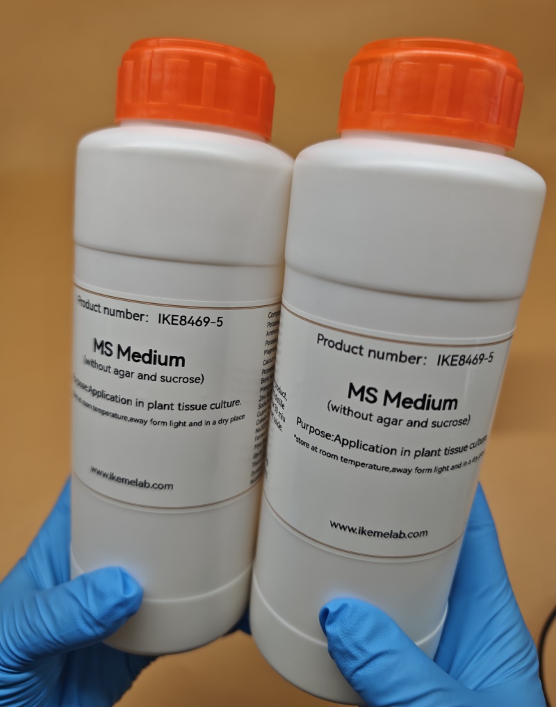 Keme Lab MS Medium 250g, media - Agar Tissue Culture ulasan dan harga