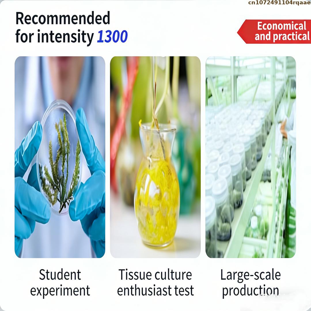 Bubuk Agar Kultur Jaringan Tan - Agar Tissue Culture ulasan dan harga