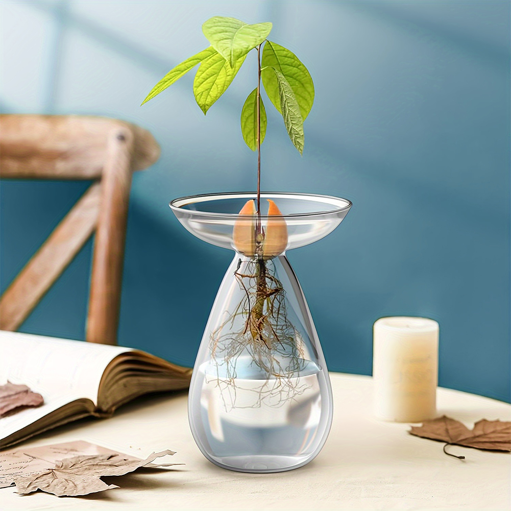 Vas Hidroponik Pembenihan Biji - Propagation Station Vase ulasan dan harga