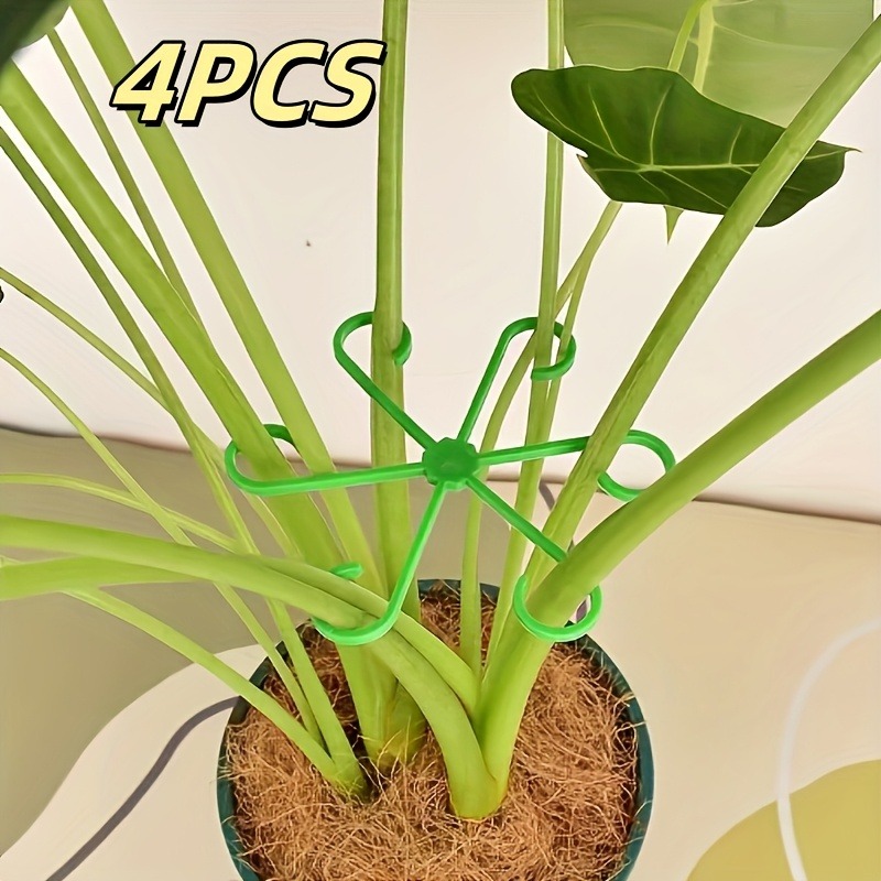 4 Buah Tiang Penyangga Tanaman - Sphagnum Moss Dry ulasan dan harga