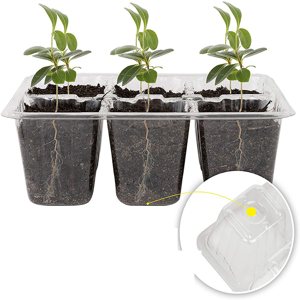 Nampan pemula benih dengan cah - Humidity Dome Kit ulasan dan harga