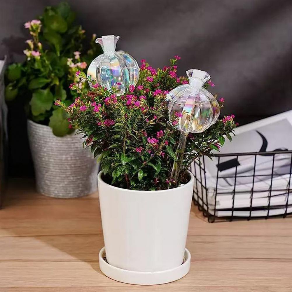 Penyiram Tanaman Otomatis Bent - Self Watering Insert ulasan dan harga