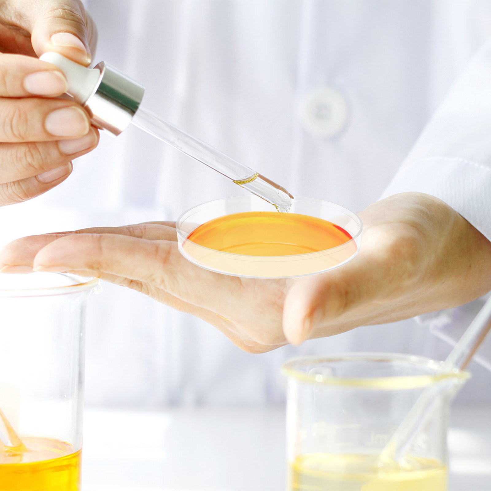 30 Buah Cawan Petri Plastik Tr - Agar Tissue Culture ulasan dan harga