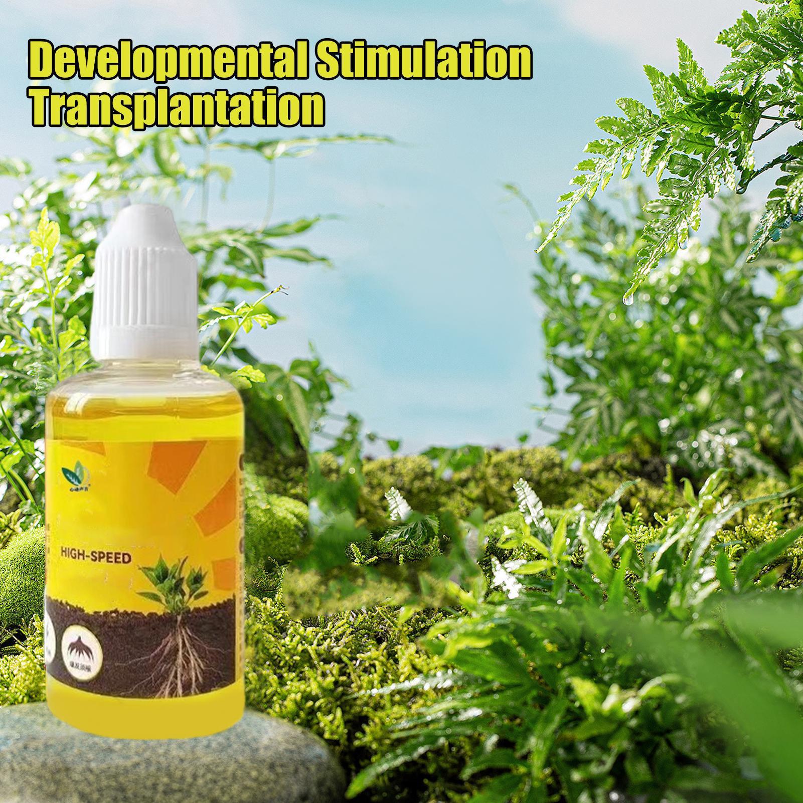 50Ml Stimulator Pengakaran Tan - Rooting Hormone Powder ulasan dan harga