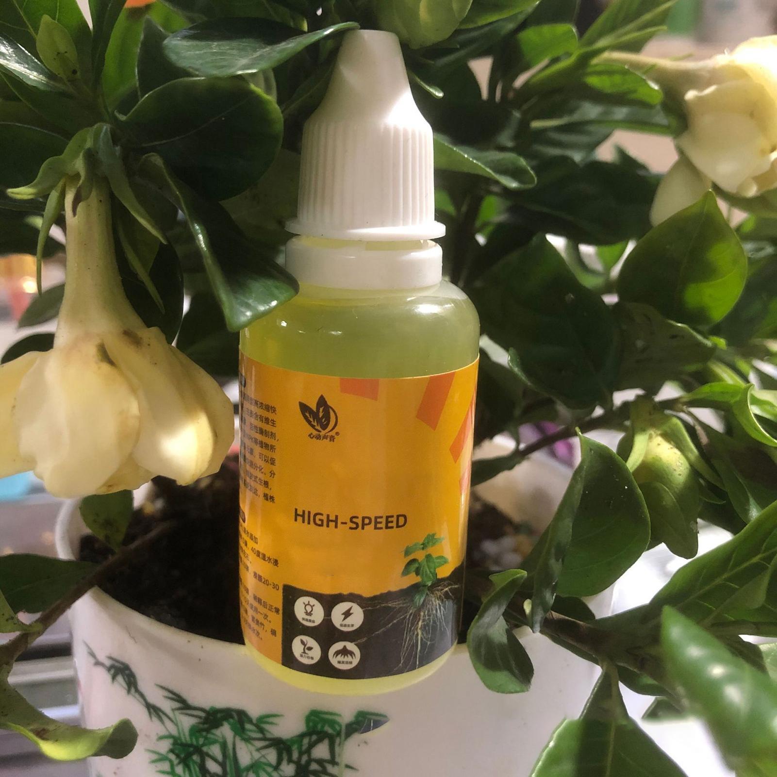 50Ml Stimulator Perakaran Tana - Root Stimulator Liquid ulasan dan harga