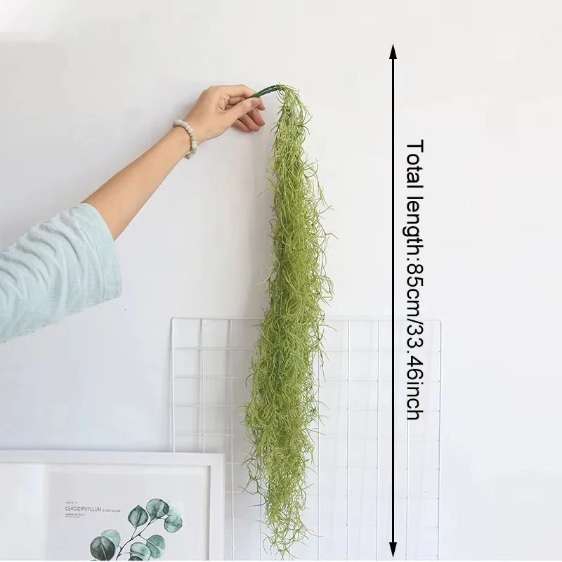 1/3/5pcs Tanaman Rumput Hijau  - Sphagnum Moss Dry ulasan dan harga