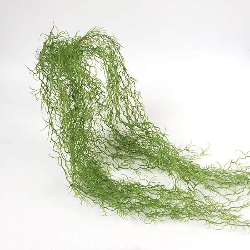 1/3/5pcs Tanaman Rumput Hijau  - Sphagnum Moss Dry ulasan dan harga