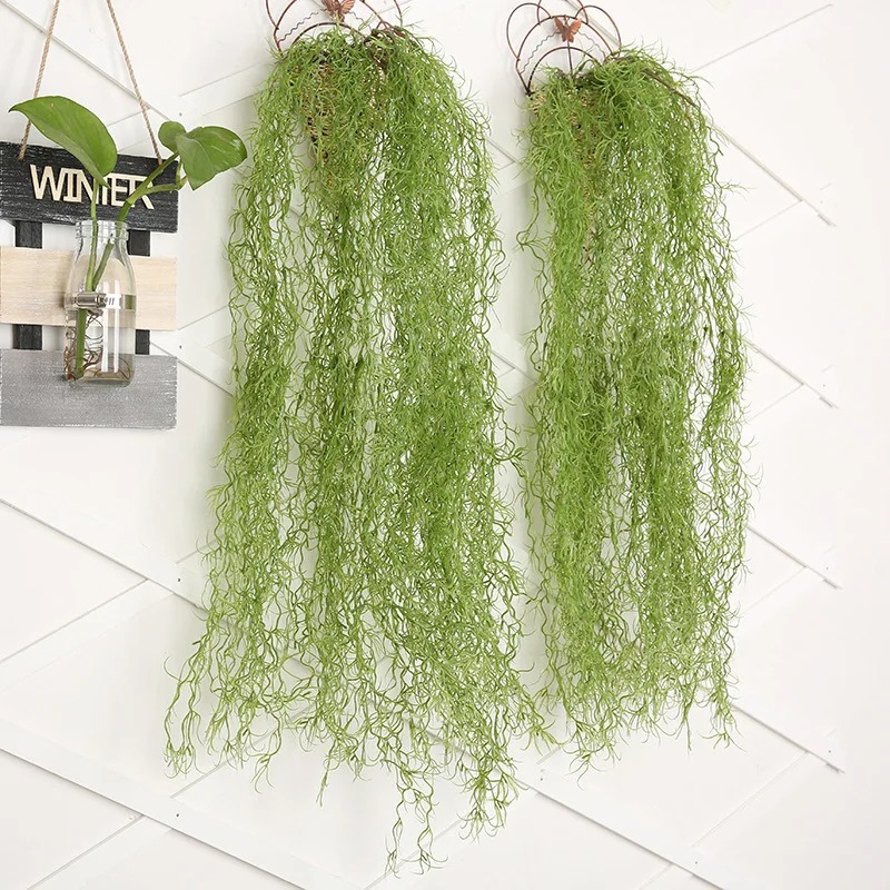 1/3/5pcs Tanaman Rumput Hijau  - Sphagnum Moss Dry ulasan dan harga