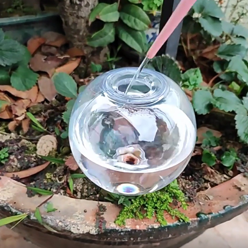 Sistem Irigasi Tetes Bola Peny - Self Watering Insert ulasan dan harga