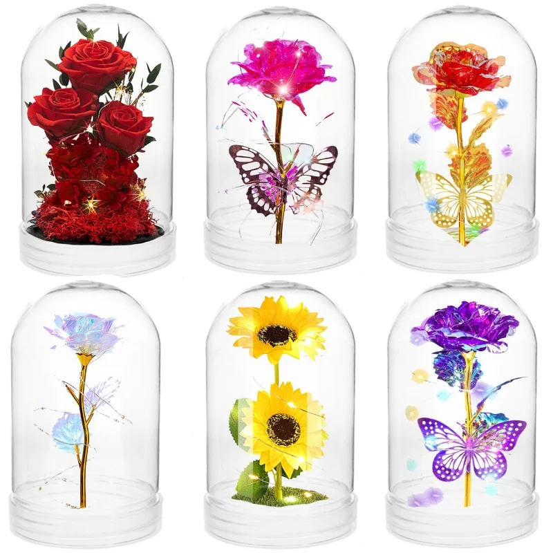 Kotak Display Kubah Plastik Tr - Plastic Dome Clear ulasan dan harga