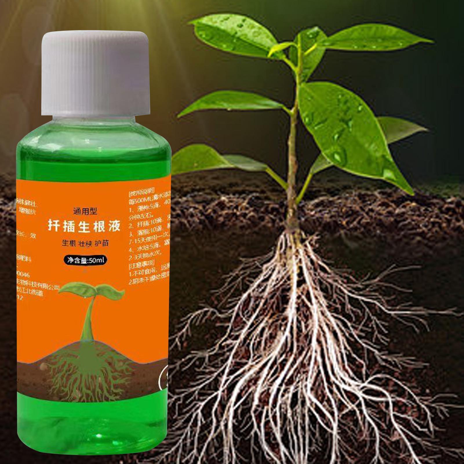 Stimulator Akar Efisiensi Ting - Root Stimulator Liquid ulasan dan harga